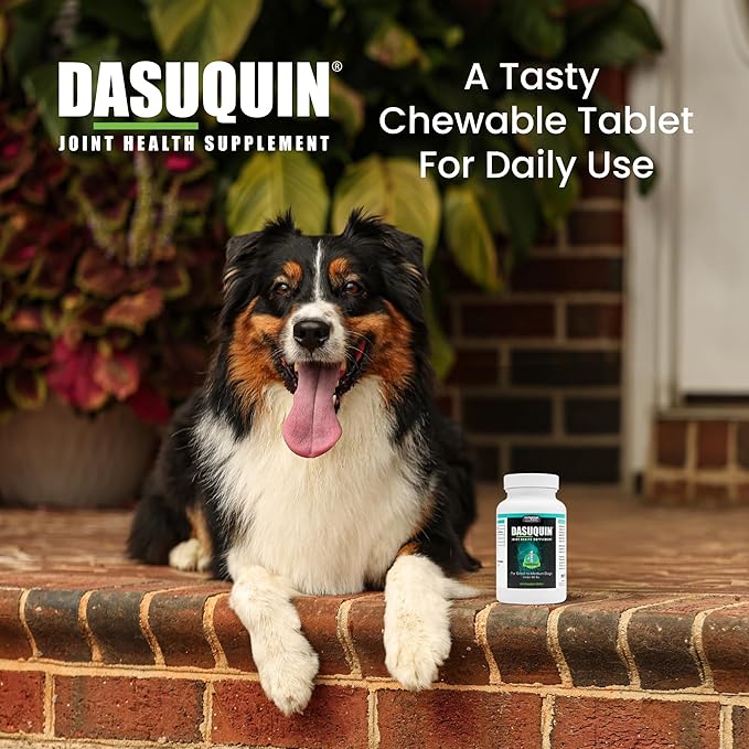 Dasuquin for Small to Medium Dogs, 84-Count