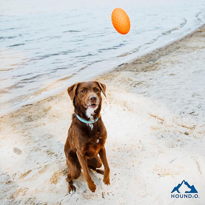 Playology Hound2O Dog Toys | Squeaky Football Toy for Dogs to Chase | Orange Floating Outdoor Toy - Easy to Clean and Made from Non Toxic Materials