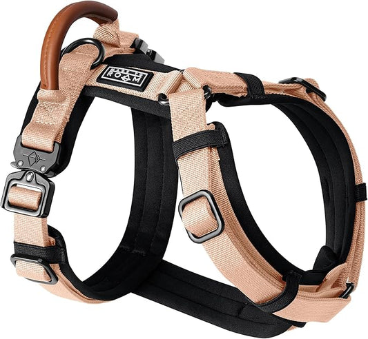MADE TO ROAM Premium Explorer Harness - Y-Shaped Dog Harness with Adjustable Durable Nylon, Soft Padding, Metal Buckles and Leather Handle for Small, Medium, Large Dogs (Carolina Blooms, Size 2)