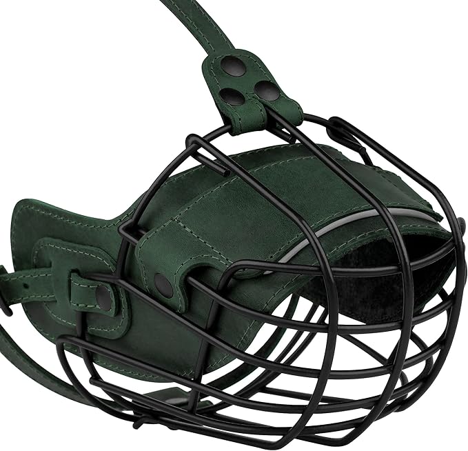 OOPSDOGGY Metal Pitbull Dog Muzzle Reflective Leather Mask Secure Wire Basket Muzzle for Large Sized Dogs Amstaff Soft Cage Muzzle to Prevent Biting Chewing with Adjustable Straps (Green, Pitbull)