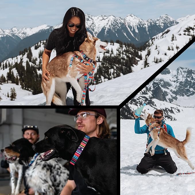 Wolfgang Heavy Duty Adjustable Dog Harness, Pull-Tested to Over 800 lbs for Walking & Training, Quetzal Print, Large