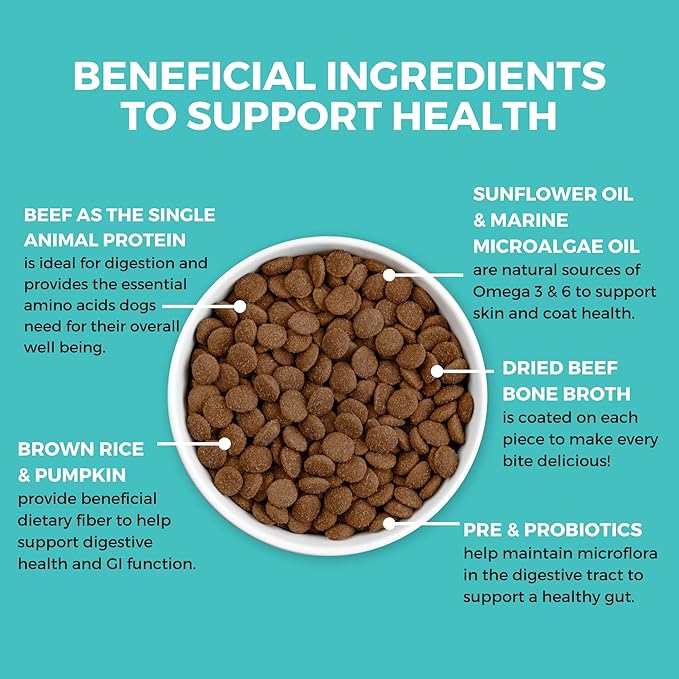 KOHA Limited Ingredient Bland Diet Dry Food for Dogs - Beef & Brown Rice Recipe, Sensitive Stomach Dog Food - Pumpkin for Digestive Support, 20 lbs