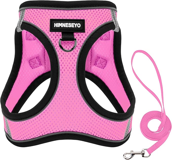 Dog Harness and Leash Set, Dog Harness for Dogs No Pull, No-Chock Step-in Reflective Breathable Lightweight Easy Walk Vest Harnesses with Safety Buckle for Small Medium Dogs, Cats (Pink, XS)