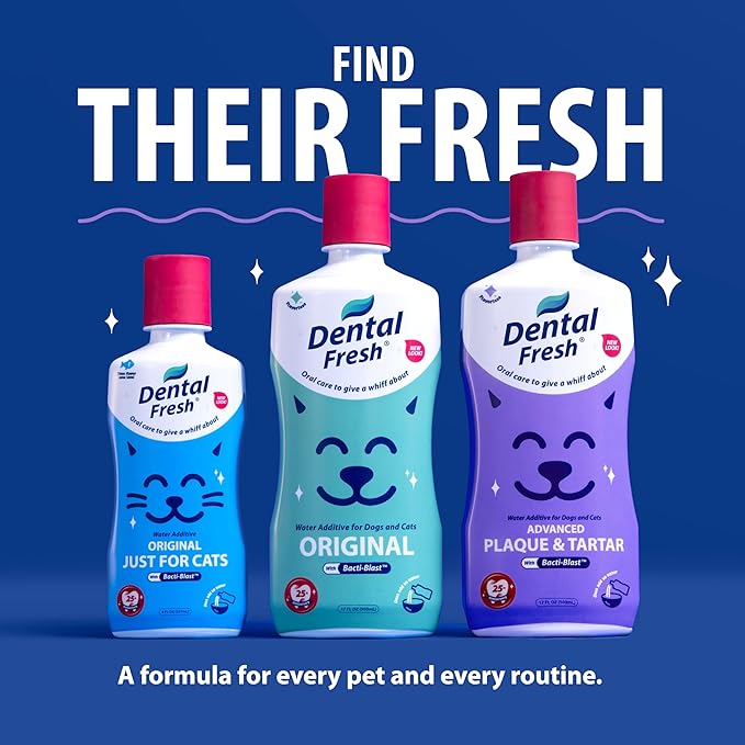 Dental Fresh Water Additive for Dogs and Cats, Advanced Formula, 17 Fl Oz, Plaque and Tartar Control