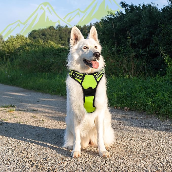 Eagloo Dog Harness Large Breed, No Pull Service Vest with Reflective Strips and Control Handle, Adjustable and Comfortable for Easy Walking, No Choke Pet Harness with 2 Metal Rings, Green, XL