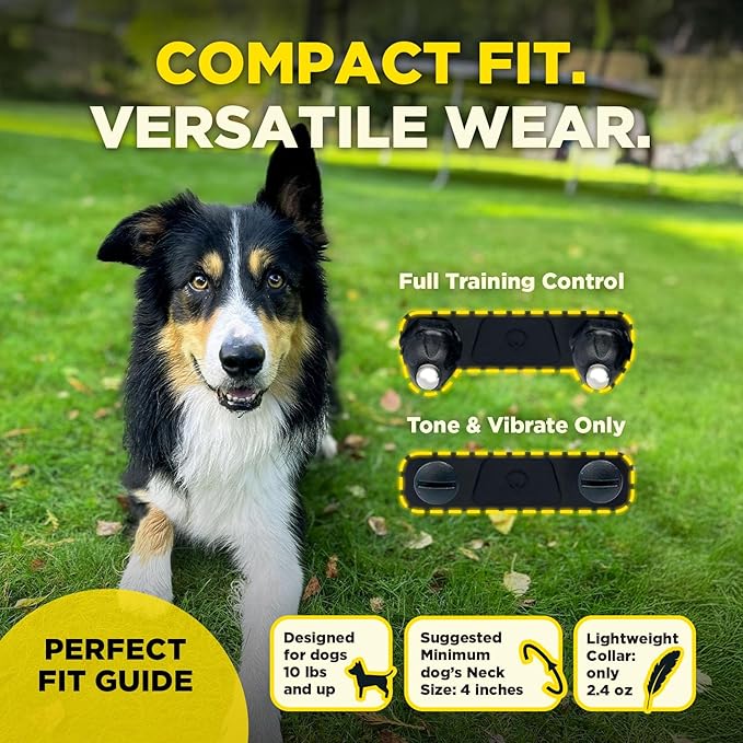 Dogtra 200iQ Remote Training E Collar – 100 Levels, Tone, Vibration, 1/2 Mile Range – Compact, Waterproof, One-Handed Control for Dogs 10 lbs+ – Lightweight Design for Daily Obedience Training