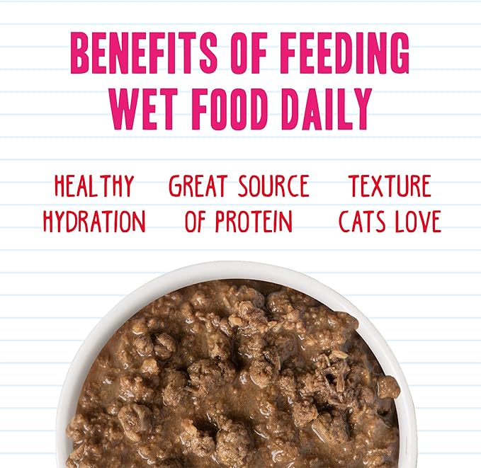 Weruva BFF Minced Natural Wet Cat Food, Tuna Too Cool in Gelee, 3oz Can, Pack of 24