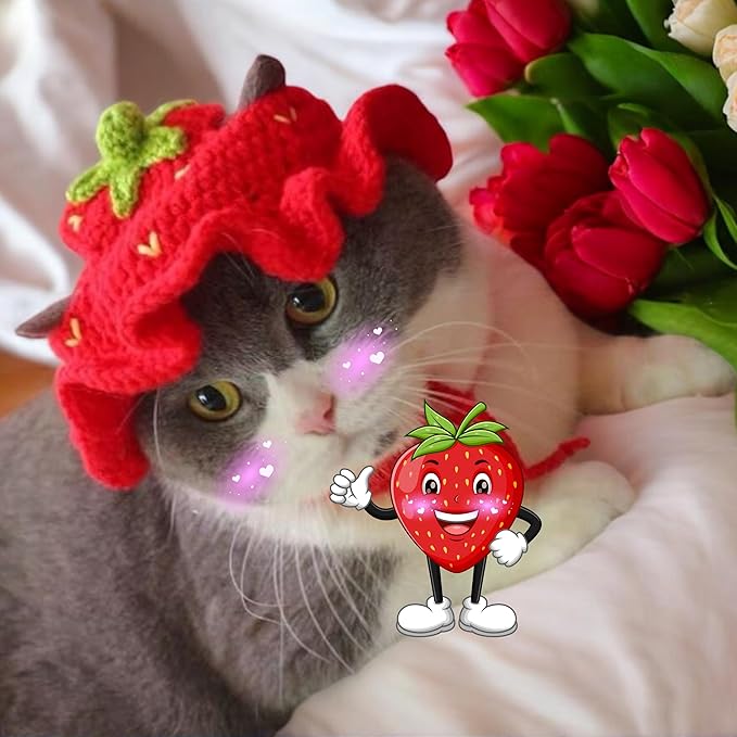 Cute Rabbit Knitted Hat and Collar Set, Bunny Hats and Necklace for Rabbits Guinea Pig Small Dog Cat, Hats for Pet Rabbits, Pet Bunny Costume for Birthday Party Christmas, Rabbit Accessories