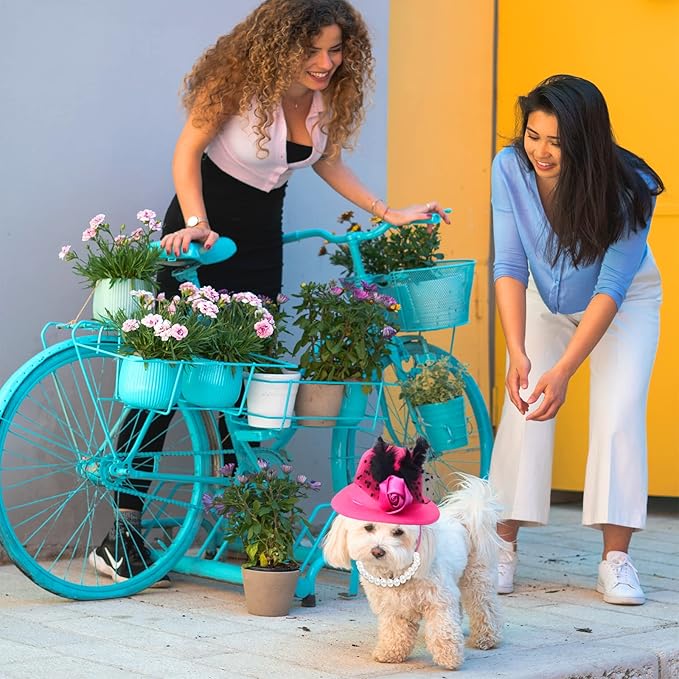 Yewong Formal Top Hat Fascinator Set with Pet Pearl Collar for Kentucky Derby, Christmas, Weeding, Photo Props Party (Pink)