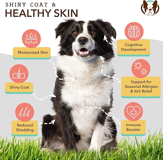 Natural Dog Company Healthy Joints, Skin and Coat Bundle for Dogs, Includes (1) Bottle Natural Dog Company Skin and Coat Oil, (1) Bottle Liquid Glucosamine, Food Topper, Dog's Fish Oil Supplement