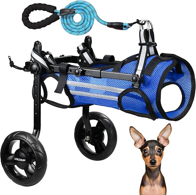 2024 Upgraded Dog Wheelchair for Back Legs Small Wheelchair for Dogs with Disabled Hind Legs Walking Adjustable Dog Carts with Heavy Duty Wheels
