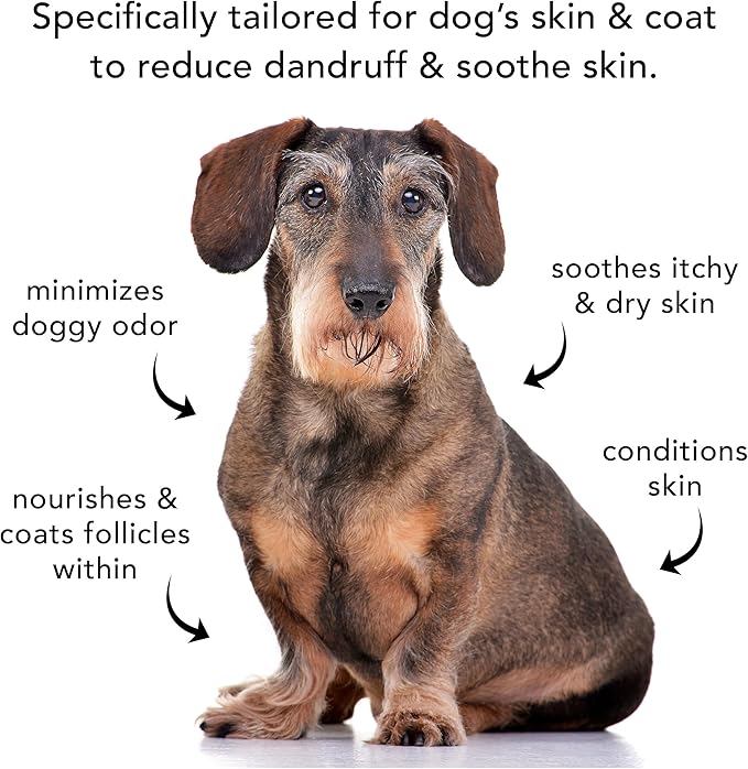 Pride and Groom The Sensitive One Box Set – Dog Shampoo & Conditioner with All Natural Blend of Essential Oils & Ingredients to Soothe, Nourish & Untangle for Long Lasting Shine & Manageability – 32oz