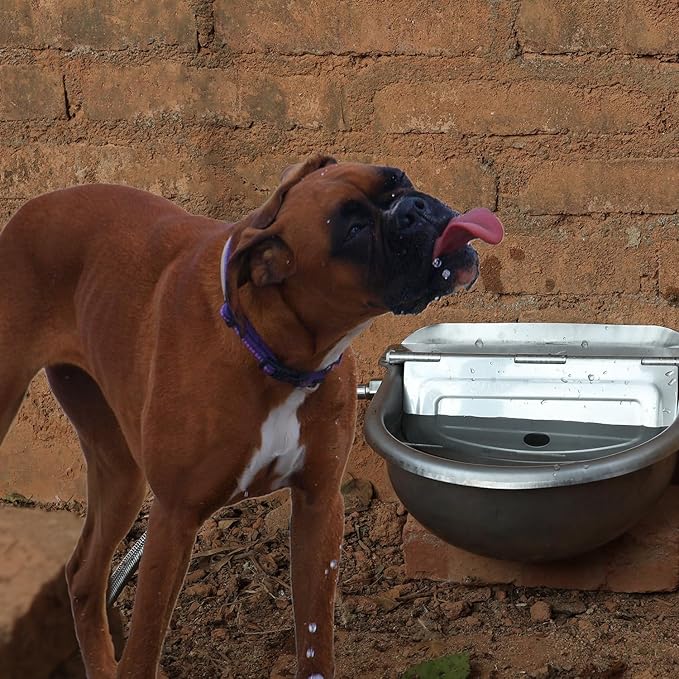 Automatic Dog Water Bowl Dispenser Large Size Pet Waterer Feeder Stainless-Steel Water Trough for Poultry and Small Livestock