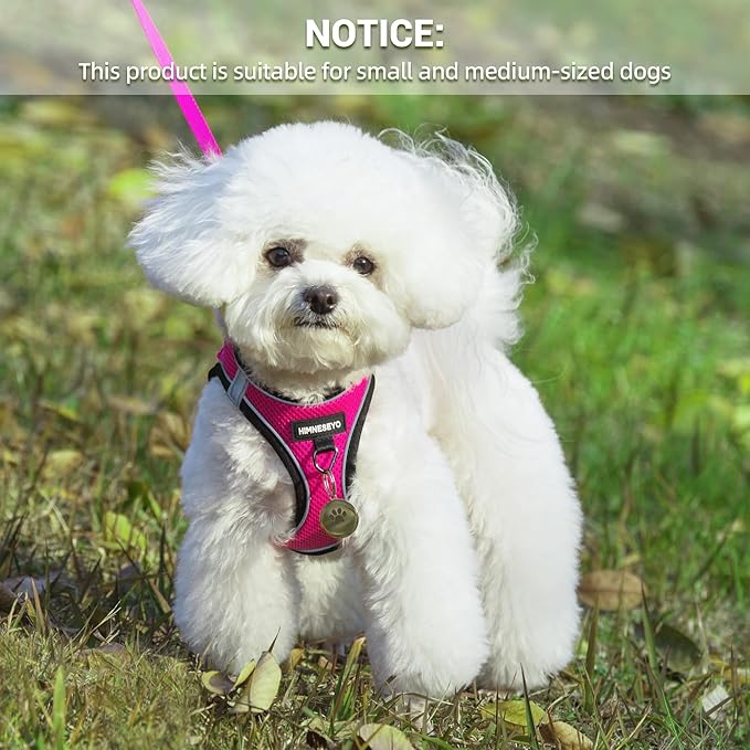 Dog Harness and Leash Set, Dog Harness for Dogs No Pull, No-Chock Step-in Reflective Breathable Lightweight Easy Walk Vest Harnesses with Safety Buckle for Small Medium Dogs, Cats (Rose red, XS)