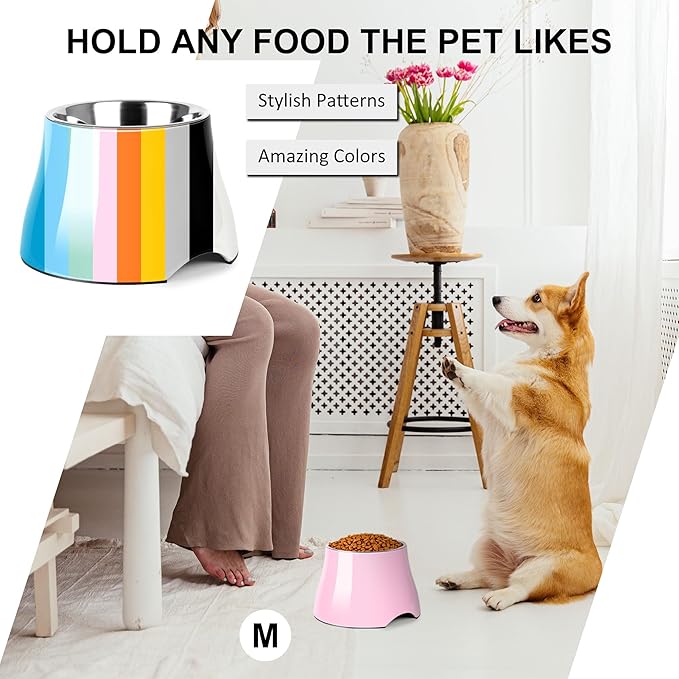 Dog Bowls,Cone Friendly Non Slip Single Dog Bowl with Stainless Steel Inner, Raised Bowls for Small Dogs Spaniel Dogs Long Ear, High Capacity, M/2 Cup Pink