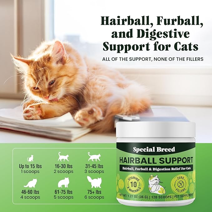 Hairball Support for Cats - 10 Super Ingredients for Hairball Relief, Digestive Support & Healthy Skin - No Fillers - Psyllium, Pumpkin, Omega-3s & More - 120 Scoops