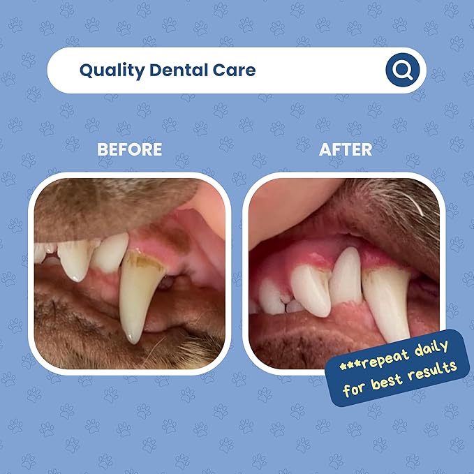 Dog Dental Powder | All-Natural for Teeth Cleaning | Plaque Remover for theeth and Breath freshener | Flavorless, Easy to Use | 3.17 oz - 45 supplys | Smile 2 Life