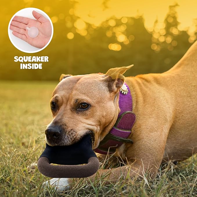 Kettlebell Parody Dog Toy – Funny Squeaky Dog Toys for Interactive Play and Training – Durable, Easy to Clean, Birthday Gifts for Small, Medium and Large Dogs