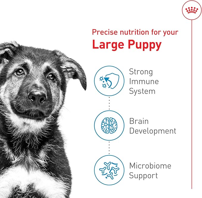 Royal Canin Size Health Nutrition Large Puppy Dry Dog Food, 40 lb Bag