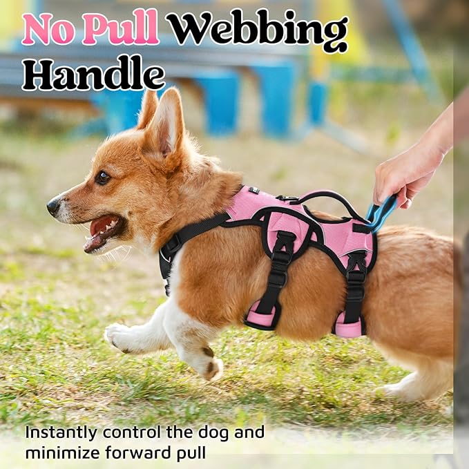 rabbitgoo Escape Proof Dog Harness Small Sized Dog, Soft Padded Full Body Pet Harness, Reflective Adjustable Vest with Lift Handle and Leash Clip for Walking Hiking Training, Light Pink, S