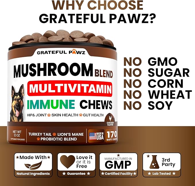 Mushroom Supplement for Dogs - 170 Chews - Mushrooms for Dogs - Turkey Tail, Reishi, Lion’s Mane, Glucosamine Multivitamin - Immune Booster, Gut, Hip & Joint Health Support Vitamins, Energy & Skin