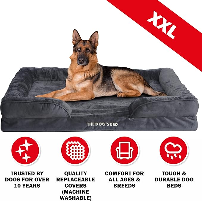The Dog’s Bed, Orthopedic Standard Foam Waterproof Dog Bed with Standard Support, XXL Grey Plush, Waterproof, Supportive Dog Bed with Replaceable Covers