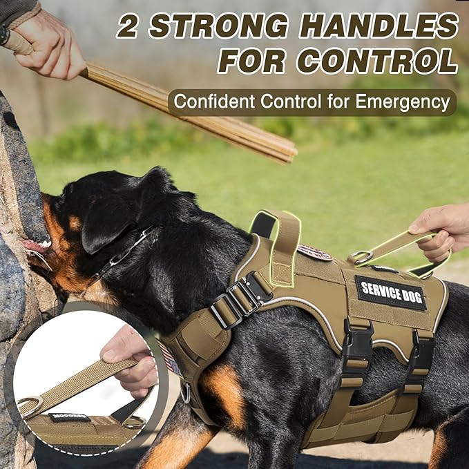 Tactical Service Dog Vest Harness and Leash Set,Heavy Duty Dog Harness with Metal Buckles for Large Dogs,Adjustable No Pull Pet Vest with 10 Patches,for Training Working Hiking,Brown XL