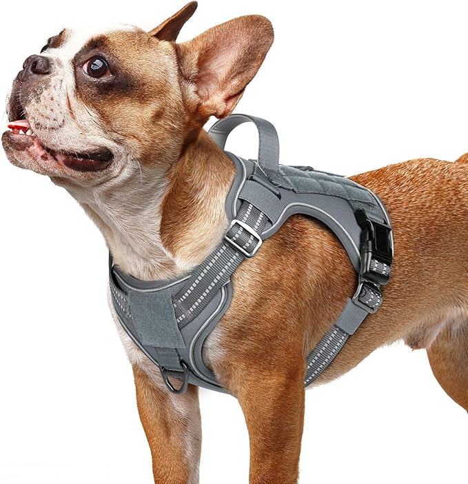 rabbitgoo Dog Harness Small Sized No Pull, Tactical Service Pet Vest with Molle and Control Handle, Adjustable and Reflective Military Harness for Easy Walking and Training, Grey, S