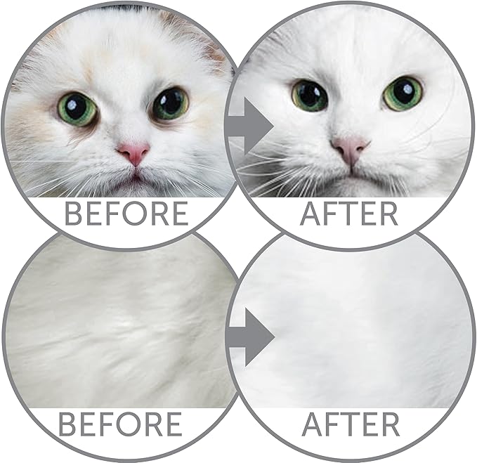 Nature's Protection Superior Care White Cats Grain Free Dry Cat Food with Herring and Oral Care Treats with Poultry