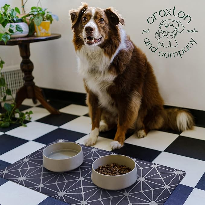 CROXTON & CO. Non-Slip Faux Leather Pet Feeding Mat for Dog Bowls | Large Bowl Mat for Food and Water | Durable, Easy-to-Clean Pet Food Mat for Floors | Size: 12"x18"