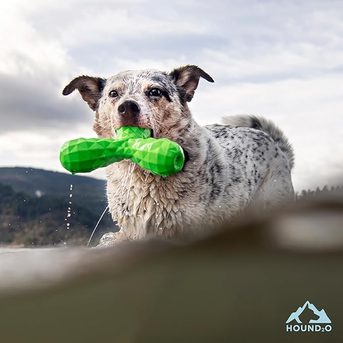 Playology Hound2O Dog Toys | Squeaky Boomerang Floating Toy for Dogs | Green Outdoor Toy - Easy to Clean and Made from Non Toxic Materials