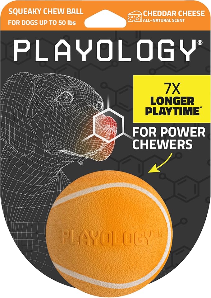Playology Dog Toys | Squeaky Chew Ball - Bouncy Durable Floating Fetch Ball for Dogs | Medium Cheddar Cheese Scented Toy - Easy to Clean and Made from Non Toxic Materials