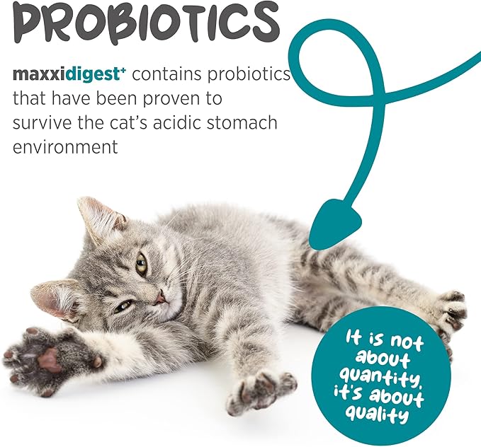maxxipaws maxxidigest+ Prebiotic & Probiotic for Cats 3.2oz | Cat Probiotic Powder with Advanced Digestive Enzymes for Gut Health & Immunity | Supports Digestion, Food Sensitivities & Itchy Skin
