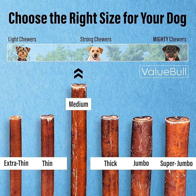 ValueBull Bully Sticks for Dogs, Medium 12 Inch, 400 Count Wholesale Pack - All Natural, Grass Fed, Single Ingredient, Long Lasting Dog Treats