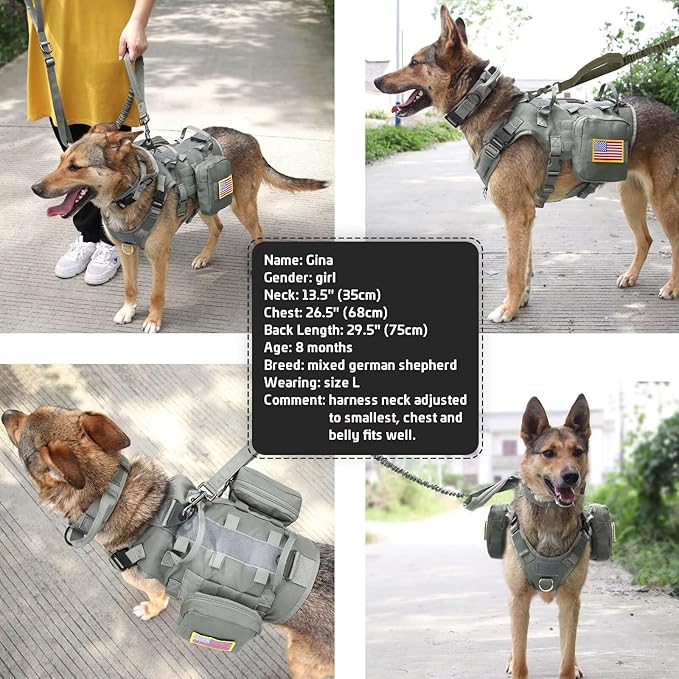 Forestpaw Tactical Dog Harness for Large Dogs,Tactical Dog Collar with Bungee Leash Set,No Pull Military Dog Harness for Walking Training,Adjustable for Medium Large Dogs,Gray,Chest 15.5-25.5"