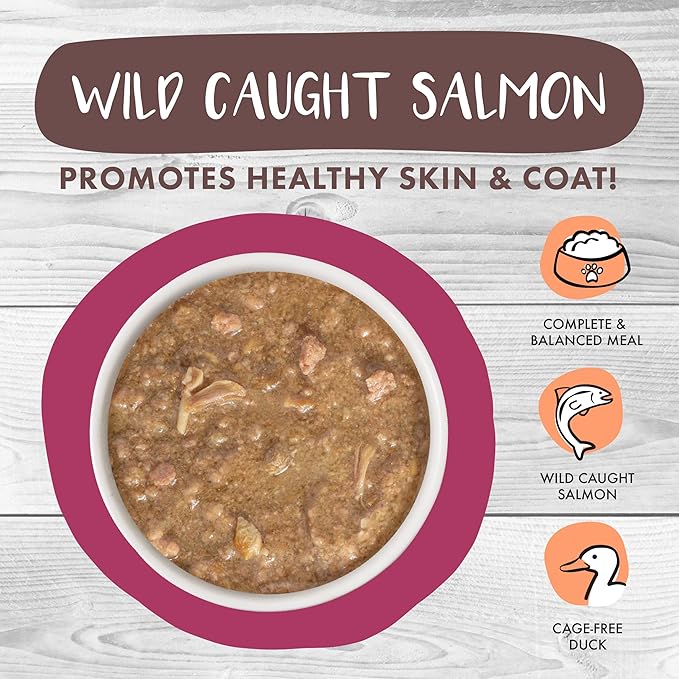 Weruva Classic Cat Stews!, Stewlander with Duck & Salmon in Gravy, 2.8oz Can (Pack of 12)