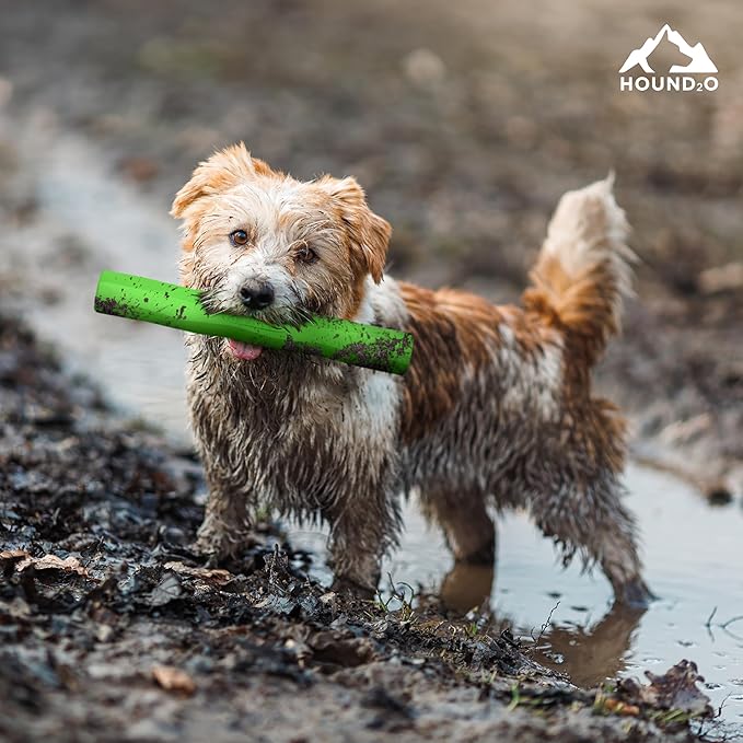 Playology Hound2O Dog Toys | Fetch Stick Toy for Dogs, Green | Durable Rubber Outdoor Toy - Easy to Clean and Made from Non Toxic Materials