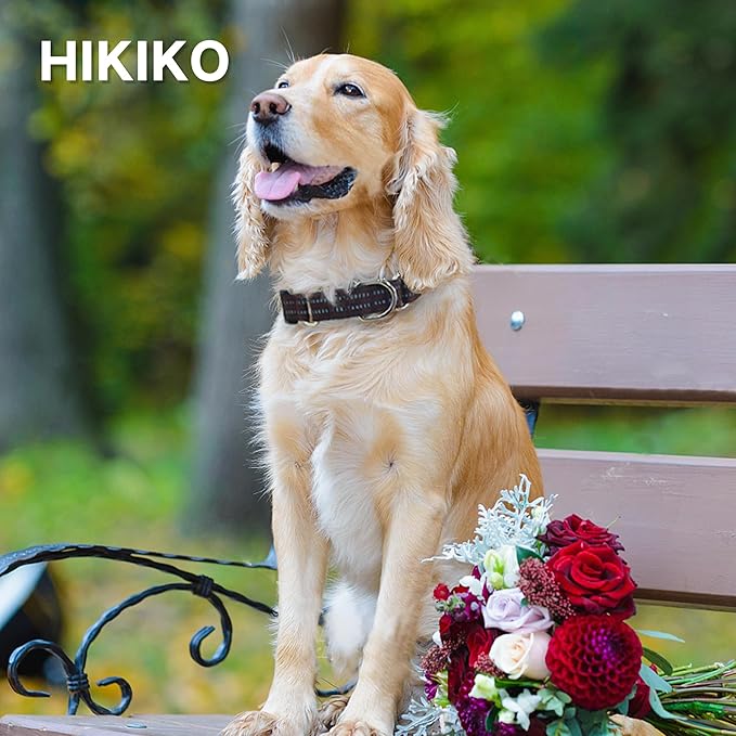 Hikiko Martingale Dog Collars Reflective Nylon Dog Collar with Quick Release Buckle Adjustable Training No Slip Dog Collar (Medium, Coffee Brown)