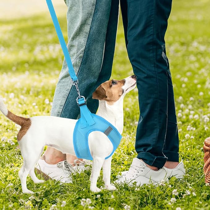 PUPTECK Adjustable Dog Harness Collar and Leash Set Step in No Pull Pet Harness for Small Medium Dogs Puppy and Cats Outdoor Walking Running, Soft Mesh Padded Reflective Vest Harnesses