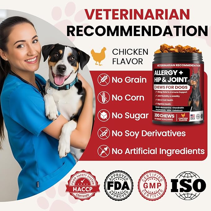 Dog Allergy Chews Hip and Joint Supplement for Dogs with Glucosamine Chondroitin for Anti Itch Skin Paw Pain Relief and Immune Pet Allergies Treats Chews for Itching and Licking Health Supplement Dogs