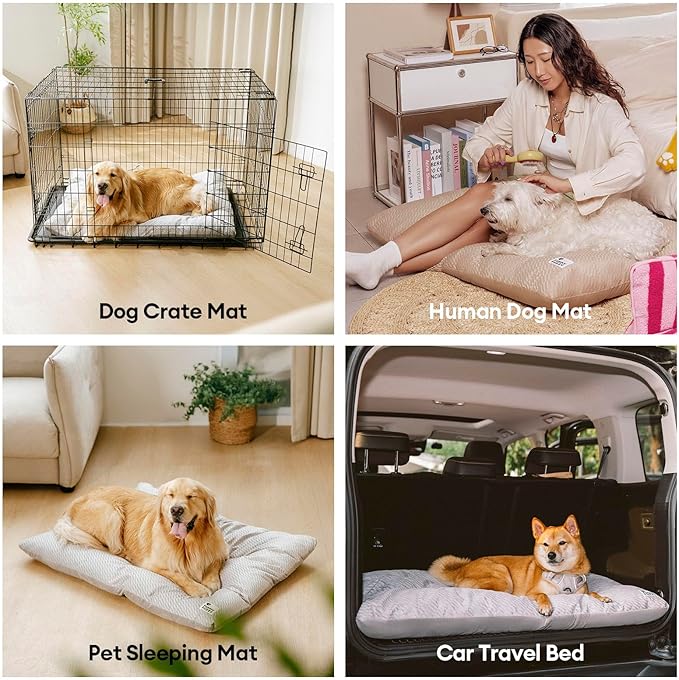 FUNNY FUZZY Washable Dog Bed,Reversible Plush Dog Crate Mat, Soft Fluffy Kennel Pad,Pet Sleeping Mattress for Jumbo,X-Large Sized Dogs Breeds,2XL,48"× 31",Light Grey