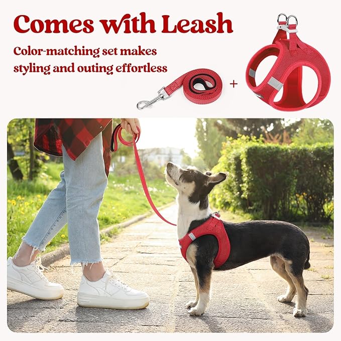 rabbitgoo Dog Harness Small Sized and Leash Set, Step in Soft Light Puppy Vest, Breathable Mesh Pet Harness, Reflective for Outdoor Safe Walking, Red XXXS