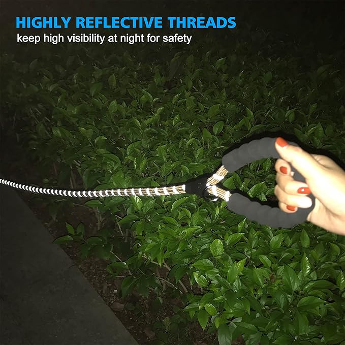 Reflective Dog Collar Padded with Soft Neoprene Breathable Adjustable Nylon Dog Collars for Small Medium Large Dogs (Large (Pack of 1), Vanilla Collar+Leash)