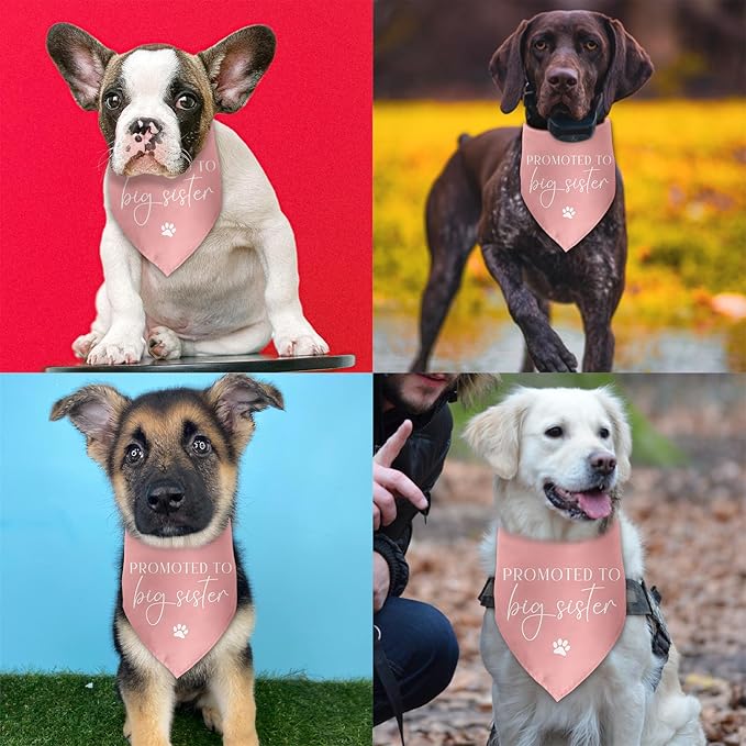 Promoted to Big Sister Baby Announcement Pink Dog Bandana Gender Reveal Gift Pregnancy Announcement Photo Prop for Dog Lover Pet Scarf Accessories for Small Medium Large Dog