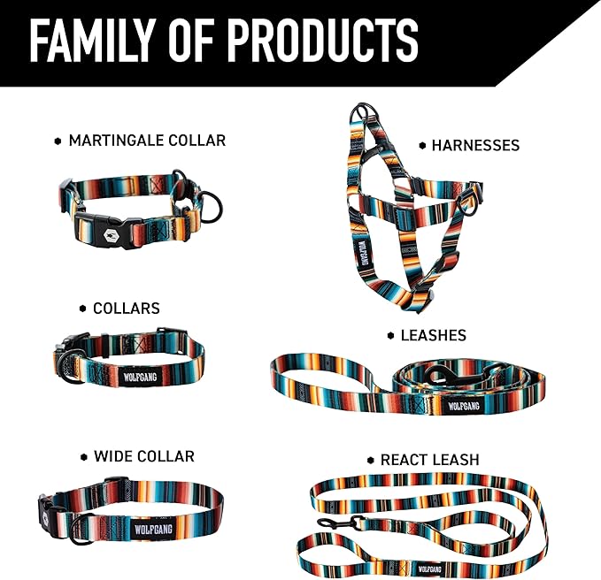 Wolfgang Heavy Duty Martingale Dog Collar with Quick Release Nylon Buckle for Walking & Training, LostArt Print, Small