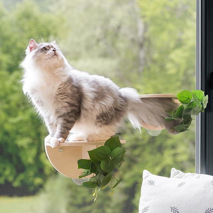 Meowoou 2PCS Cat Window Steps Shelf Suction Cups Climbing Stair Cats Perch Bed Durable Cat Seat for Window Sill Sturdy Step for Indoor Cats