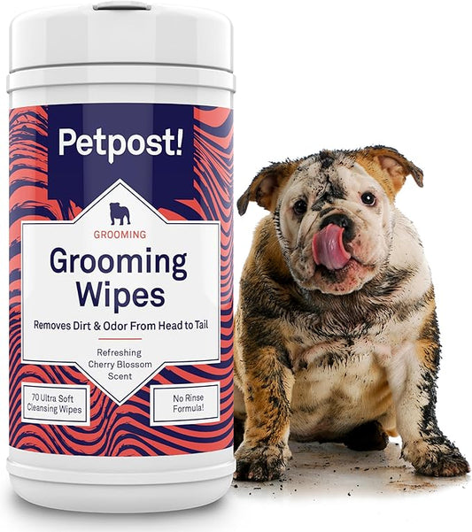 Petpost Grooming Wipes for Dogs | 70 Count Large Deodorizing Dog Cleaning Wipes with Coconut Extract & Aloe | Gentle Pet Wipes with Cherry Blossom Scent for Full-Body Grooming