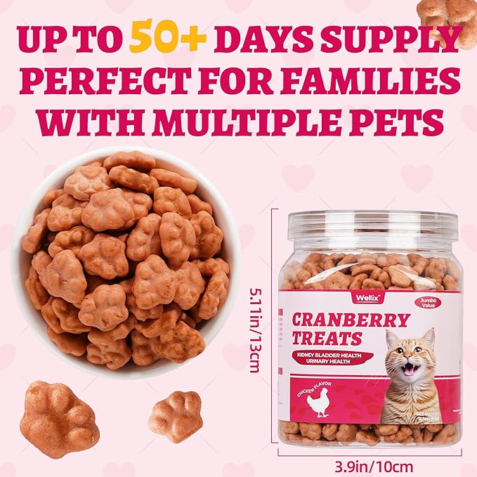 Wellix 13.5 oz Urinary Cat Treats for Indoor Cats Cranberry Flavor - Chicken Formula Kitten Training Snacks - Support Kidney Bladder & Urinary Health Cat Biscuits