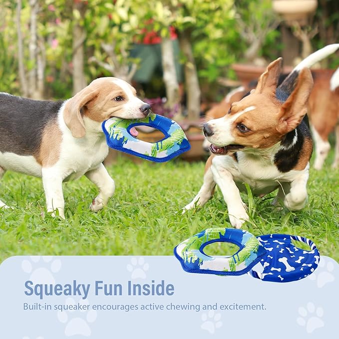 Dog Frisbee Toy Set – 2 Pack Floating & Rope Flying Discs for Dogs | Durable, Water-Resistant, Interactive Training Toys for Small & Medium Dogs, Outdoor Fetch & Tug Games