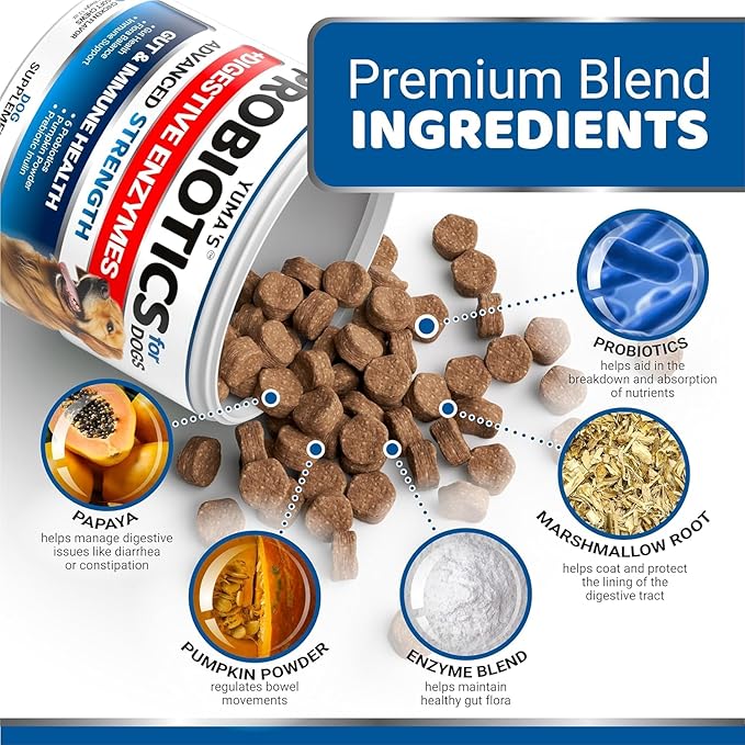 YUMA'S 2 Pack Probiotics for Dogs and Digestive Enzymes - Dog Probiotics Chews - Dog Probiotic - Anti Diarrhea, Upset Stomach & Gas Relief, Constipation, Canine Prebiotic - Pet Fiber Supplement